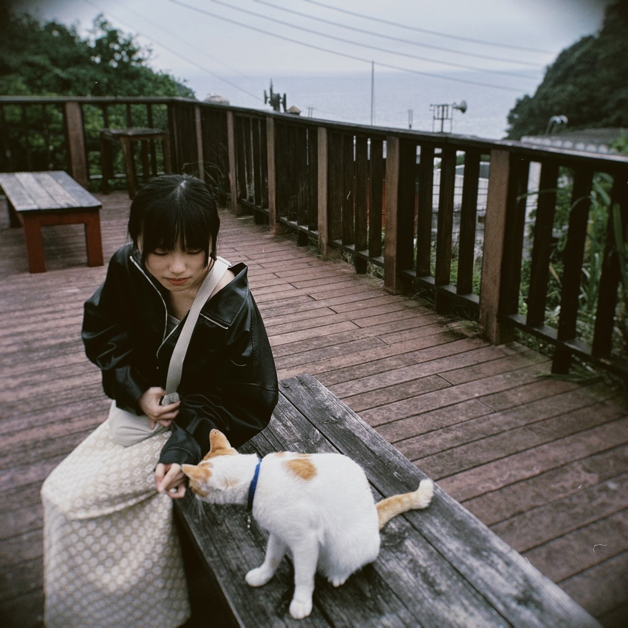 白包金額包多少？奠儀/白包寫法、行情、禁忌一次看！ | fincake